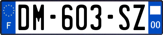 DM-603-SZ