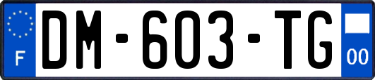 DM-603-TG