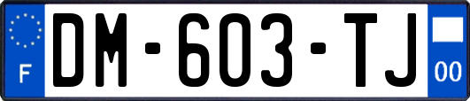 DM-603-TJ