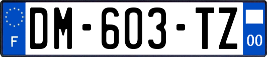 DM-603-TZ