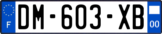 DM-603-XB