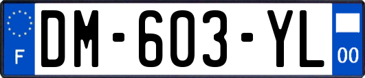 DM-603-YL