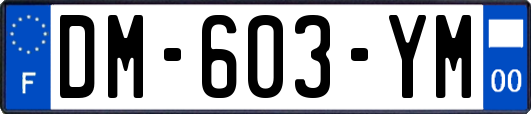 DM-603-YM