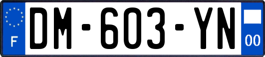 DM-603-YN