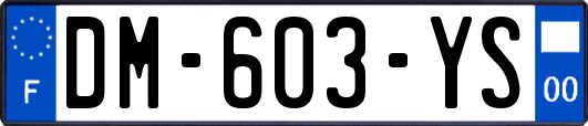 DM-603-YS