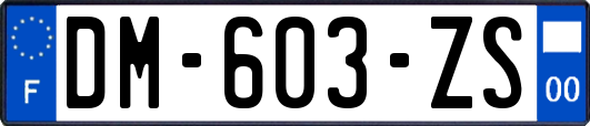 DM-603-ZS