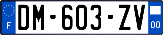 DM-603-ZV