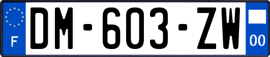 DM-603-ZW