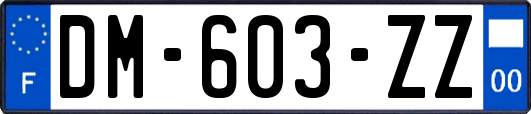 DM-603-ZZ