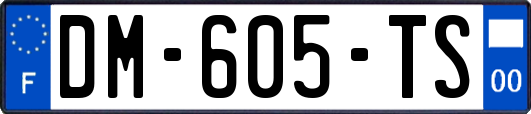 DM-605-TS