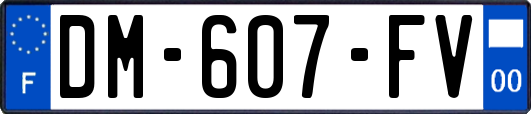 DM-607-FV