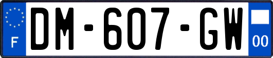 DM-607-GW