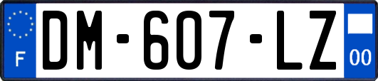 DM-607-LZ