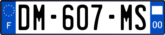 DM-607-MS