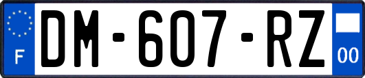 DM-607-RZ