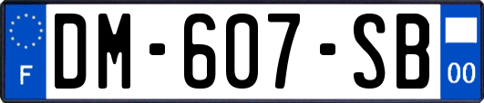 DM-607-SB