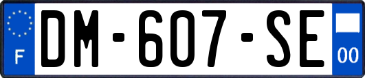 DM-607-SE