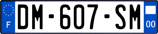 DM-607-SM