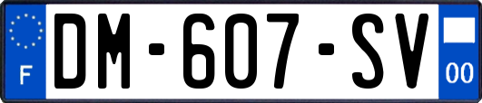 DM-607-SV