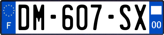 DM-607-SX