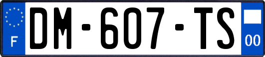 DM-607-TS