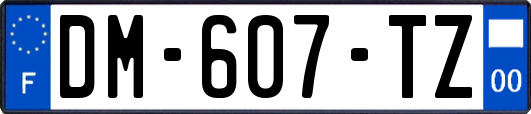 DM-607-TZ