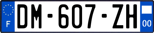 DM-607-ZH