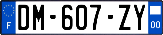 DM-607-ZY