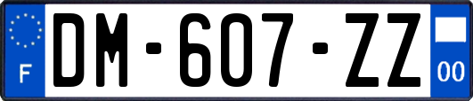 DM-607-ZZ