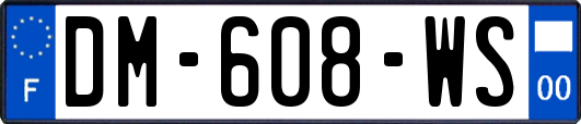 DM-608-WS