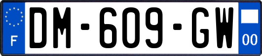 DM-609-GW