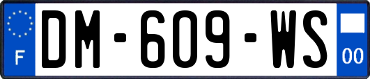 DM-609-WS