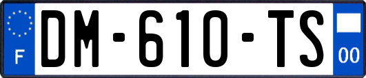 DM-610-TS