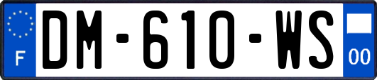 DM-610-WS