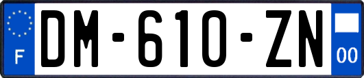 DM-610-ZN