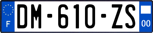 DM-610-ZS