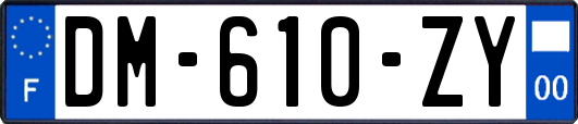 DM-610-ZY