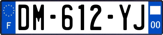 DM-612-YJ