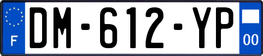 DM-612-YP