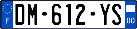 DM-612-YS