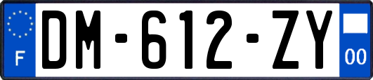 DM-612-ZY