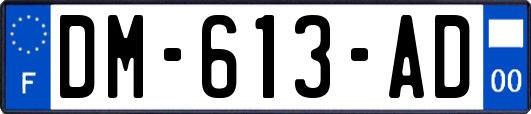 DM-613-AD