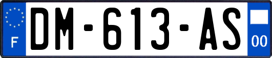 DM-613-AS