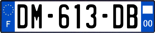 DM-613-DB