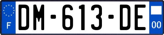 DM-613-DE