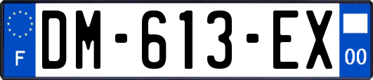 DM-613-EX