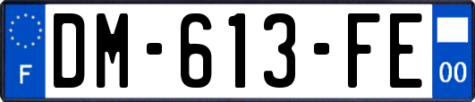 DM-613-FE