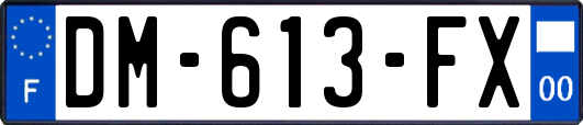 DM-613-FX