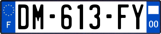 DM-613-FY