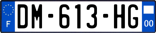 DM-613-HG